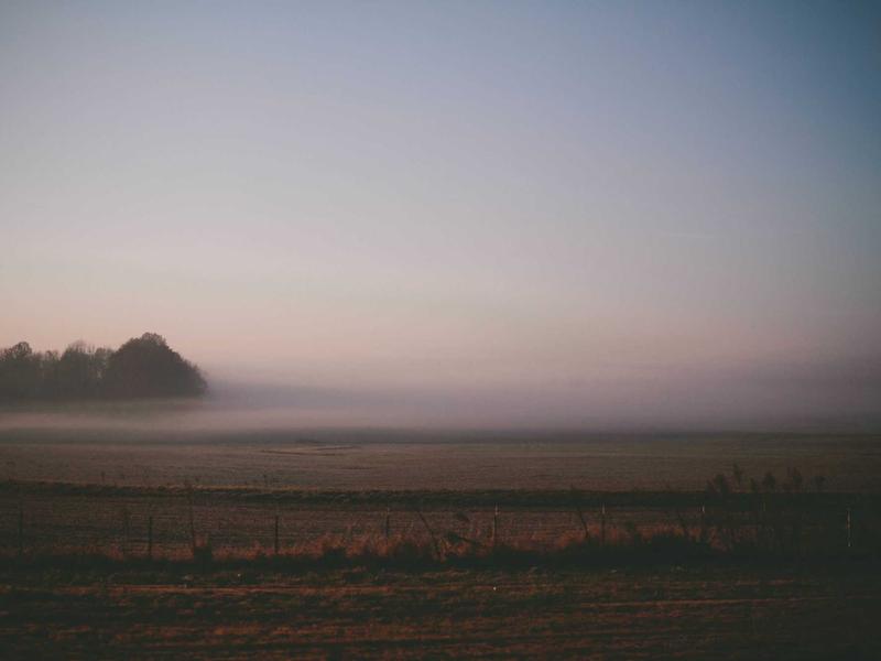 viber使用教程 - 官方下载